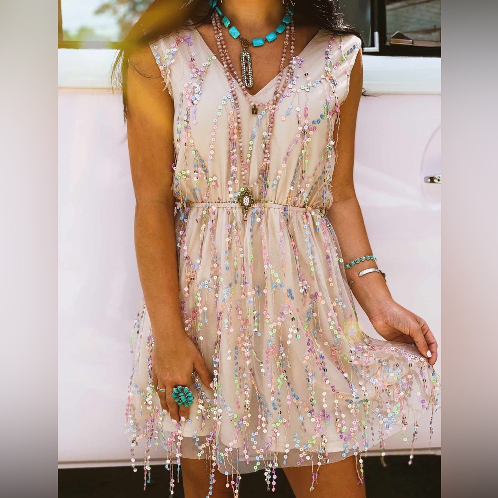 Southern Fried Chics Rainbow Sequin Dress
